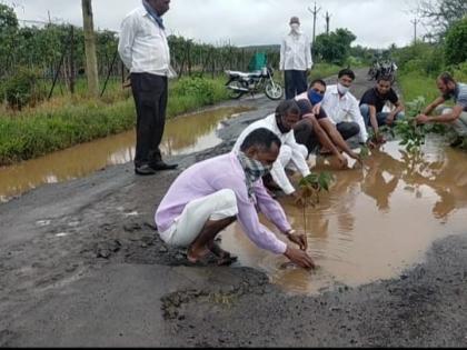 Plantation in the pit due to lack of work | काम होत नसल्याने खड्ड्यात वृक्षारोपण