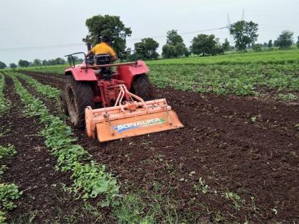 bollworm; Rotavator rotated on cotton crop | बोंडअळीसह इतर रोगराईचे आक्रमण; कपाशी पिकावर फिरविले रोटावेटर