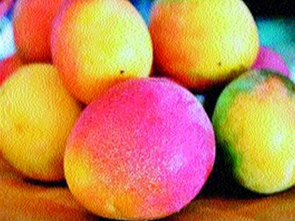 Hazardous chemicals found in mangoes | आंब्याच्या पेट्यांमध्ये आढळले घातक रसायन