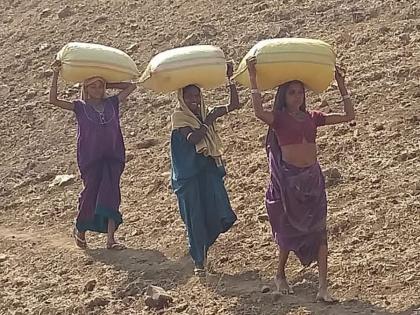 Life is a mess! | पायवाटाच मांडतात जनजीवनाच्या व्यथा! Life is a mess! | पायवाटाच मांडतात जनजीवनाच्या व्यथा!