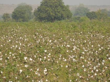 Financial concessions should be implemented immediately | आर्थिक सवलतींची तात्काळ अंमलबजावणी व्हावी Financial concessions should be implemented immediately | आर्थिक सवलतींची तात्काळ अंमलबजावणी व्हावी