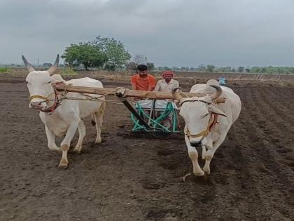 The farmer started sowing; The wait for rain is over | शेतकरी लागला पेरणीच्या कामाला; पावसाची प्रतीक्षा संपली