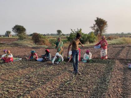 Farmers in Patne area are engaged in summer onion cultivation | पाटणे परिसरातील शेतकरी उन्हाळ कांदा लागवडीत व्यस्त