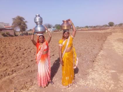 Rajapur's fodder scarcity with water | राजापूरला पाण्यासह चारा टंचाई