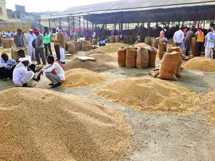 Farming rates by a thousand less than guaranteed | हमीभावापेक्षा शेतमालाच्या दरात एका हजाराने घसरण!