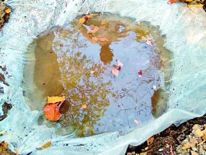 Artificial feathers for birds roaming in search of food and water | अन्न-पाण्याच्या शोधात फिरणाऱ्या पक्ष्यांसाठी कृत्रिम पाणवठे