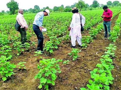 Divisional Agricultural Director and dozens of officials were admitted to Nizamapur | विभागीय कृषी संचालकांसह डझनभर अधिकारी निजामपुरात दाखल