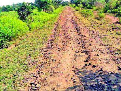 Alert of movement for the road | रस्त्यासाठी आंदोलनाचा इशारा