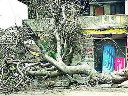 Rainfall of windy rain in Wani area | वणी परिसराला अवकाळी वादळी पावसाचा तडाखा