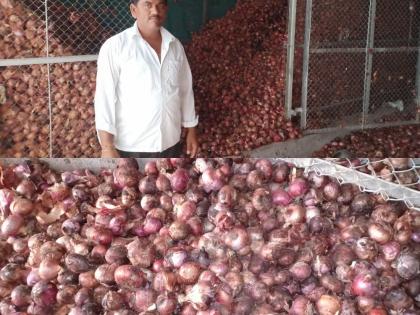 The onion rotted due to application of urea fertilizer from an unknown Isma | अज्ञात इसमाकडून चाळीत युरिया खत टाकल्याने कांदा सडला