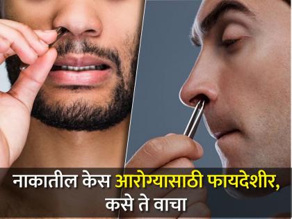 Side effects of plucking nose hair habit | नाकातील केस कापण्याची असेल सवय तर वेळीच व्हा सावध, होऊ शकतात हे गंभीर नुकसान