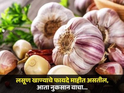 Side effects of garlic what happens if you eat too much garlic | फार जास्त लसूण खाण्याचे होतात 'हे' नुकसान, वेळीच व्हा सावध!