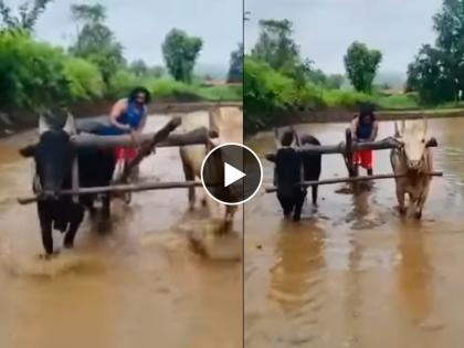 marathi director Pravin Tarde rice farming farming video viral | या अस्सल हिरोची बातच वेगळी..., शेतीत राबताहेत प्रवीण तरडे, व्हिडीओ व्हायरल