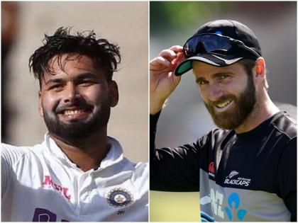 Pant is the best Test batsman, Williamson is the best captain | पंत उत्कृष्ट कसोटी फलंदाज, विलियम्सन उत्कृष्ट कर्णधार