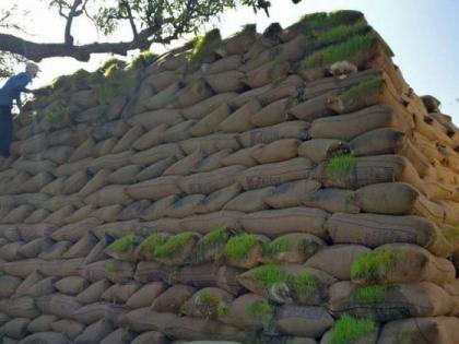 Ten lakh quintals of paddy opened in Bhandara district | भंडारा जिल्ह्यात दहा लाख क्विंटल धान उघड्यावर