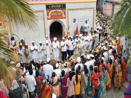 The first symbolic arena of sheep in the temple of Saint Sopandev | संत सोपानदेव मंदिरात 'विठू नामाचा गजर अन् राम कृष्ण हरीच्या जयघोषात' मेंढ्यांचे पहिले प्रतिकात्मक रिंगण