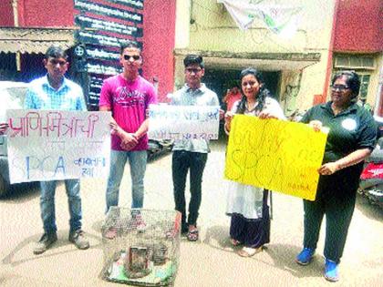  Demonstrations for animal cruelty prevention committee | प्राणी क्रुरता प्रतिबंध समितीसाठी निदर्शने