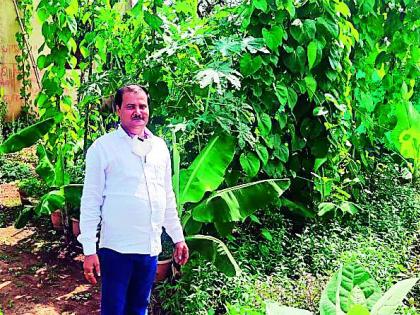 The whole house is surrounded by vines. There is a traditional heritage behind it | 'त्यांच्या' संपूर्ण घराला वेढले आहे वेलींनी.. त्याच्या कारणामागे आहे एक परंपरागत वारसा