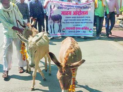 Donkey Morcha against the management of PM Awas | पीएम आवासच्या कारभाराविरुद्ध गाढव मोर्चा