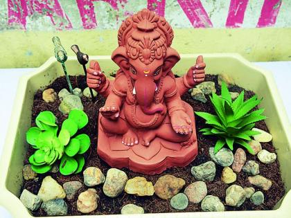 Just different! After the immersion of Ganesh idol there was a seedling plant | जरा हटके! गणेशमूर्तीच्या विसर्जनानंतर तेथेच अंकुरेल रोपटे