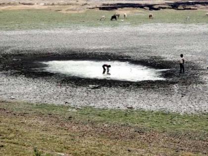 Lakes in Gondia district are became dry | गोंदिया या तलावांच्या जिल्ह्यातच पाण्याचा ठणठणाट