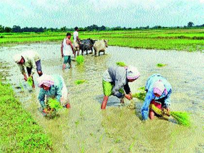 Demand for the benefit of the landowners | भूमिहीनांना शेतजमिनीचा लाभ देण्याची मागणी