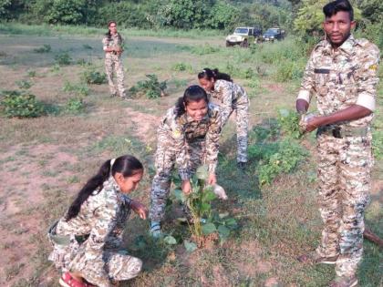 The story of the tiger is now told by women guides in the state | राज्यात आता महिला गाईड सांगताहेत वाघोबाच्या साम्राज्याची गोष्ट