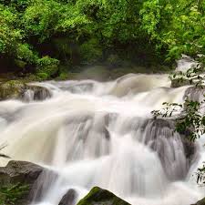 In June alone, the rainfall of Navja, Mahabaleshwar is one thousand | जूनमध्येच नवजा, महाबळेश्वरचा पाऊस एक हजारी