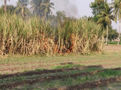 In Kamalapur, two acres of sugarcane burns | कमळापूरमध्ये अडीच एकर ऊस जळून खाक