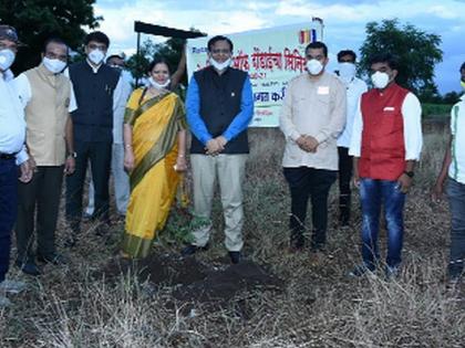 Rotary Club of Dondai's tree planting campaign by seniors | रोटरी क्लब आॅफ दोंडाईचा सिनियर्सतर्फे वृक्षारोपण मोहीम