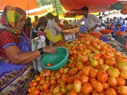 Vegetable prices increased steady, pineapple, tootapuri mangoes, rates declined |  भाजीपाल्यांचे दर स्थिर, अननस, तोतापुरी आंब्यांची आवक वाढली, दर घसरले