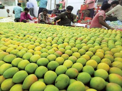 Before the start of the Akatrieti, there was a rise in the Hepus road, the Mumbai market committee increased inward | अक्षयतृतीयेपूर्वी हापूस गडगडला, मुंबई बाजार समितीत आवक वाढली