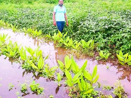 Great loss, the farmer sighed | मोठे नुकसान, शेतकरी हळहळला