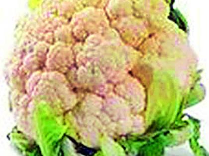 Who cauliflower, someone ginger! | कुणाला फुलकोबी, कुणाला अद्रक !