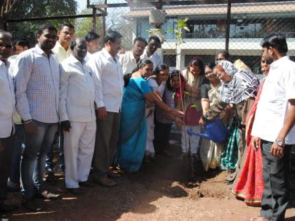 NCP's demonstrations in Sangli tree tree | सांगलीत वृक्षतोडप्रकरणी राष्ट्रवादीची निदर्शने