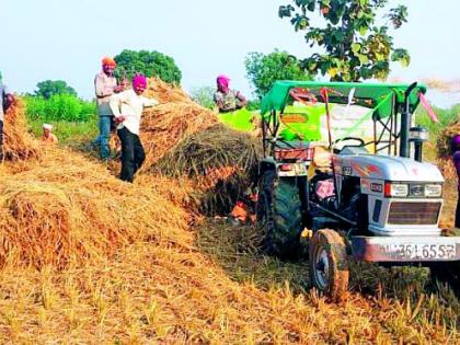 The cost of harvesting is higher than the cost of harvesting | उत्पन्नापेक्षा कापणी-मळणीचा खर्च अधिक