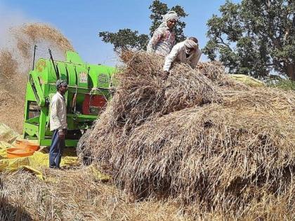 Paddy growers in Bhandara district in crisis due to nature's curvature | निसर्गाच्या वक्रदृष्टीने भंडारा जिल्ह्यातील धान उत्पादक संकटात