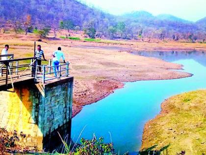 Leave Bawanthadi water in Bagheda reservoir | बघेडा जलाशयात बावनथडीचे पाणी सोडा