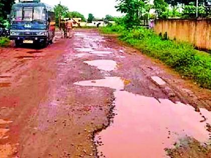 Getting the potholes on the road started for the development of the gray | करडीच्या विकासाला लागले रस्त्यावरील खड्ड्यांचे ग्रहण