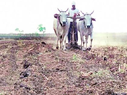 The Agriculture Department is also involved in Kharif | खरिपासाठी कृषी विभागही गुंतला