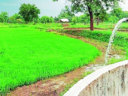 Struggling to save the grain | धान पऱ्हे वाचविण्यासाठी धडपड