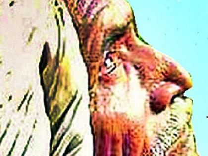 Farmers were worried as the rains turned their backs | पावसाने पाठ फिरविल्याने शेतकरी झाला चिंतातूर Farmers were worried as the rains turned their backs | पावसाने पाठ फिरविल्याने शेतकरी झाला चिंतातूर
