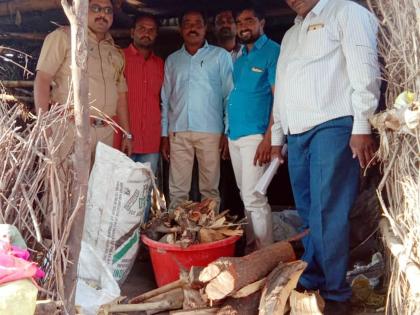  Chandan reservoir found on the ground in the yard | कुरूंद्यात आखाड्यावर चंदन साठा सापडला