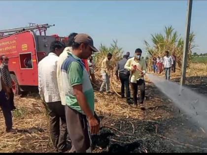 Burn one acre of sugarcane at Arai due to short circuit | शॉर्ट सर्किटमुळे आराई येथे एक एकर ऊस जळून खाक