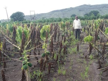 Agricultural produce in water due to return rains | परतीच्या पावसामुळे शेती उत्पादन पाण्यात