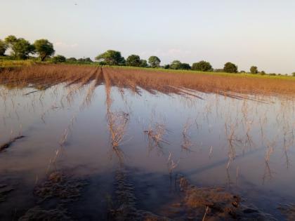 Heavy Rainfall Damage Farmer: Give it immediately | अतिवृष्टीतील नुकसान भरपाई शेतक:यांना तत्काळ द्या