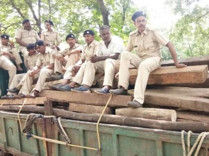 One million wooden stocks seized at Bari | बारी येथे दहा लाखांचा लाकूडसाठा जप्त