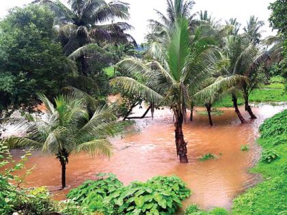 Most schools in Vaibhavwadi taluka, most of them left after noon | वैभववाडी तालुक्यात मुसळधार, बहुतांश शाळा दुपारनंतर सोडल्या