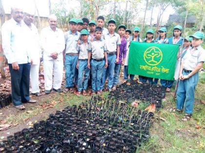  Harit sena students created rope vatika | हरित सेनेच्या विद्यार्थ्यांनी उभारली रोप वाटीका