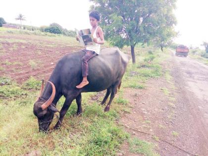 School closed .. Shivar full; Study on mobile? Yes..is..Mhashivar | शाळा बंद.. शिवार फुल्ल; अभ्यास मोबाईलवर ? छे..छे..म्हशीवर !